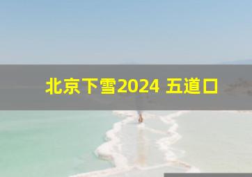 北京下雪2024 五道口